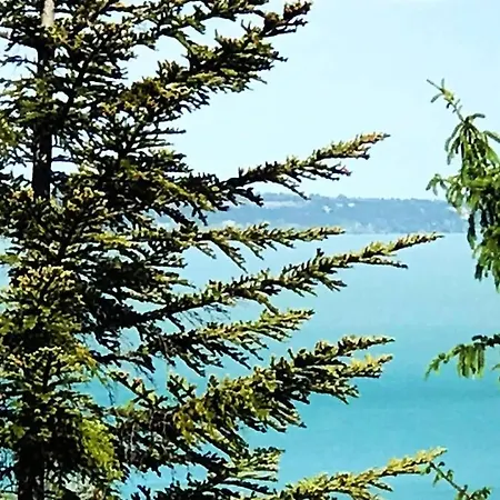 'new' Sunkissed On The Old Hill *