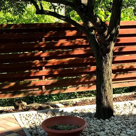 'new' Sunkissed On The Old Hill Appartement *