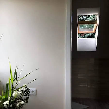 'new' Sunkissed On The Old Hill Balatonalmádi