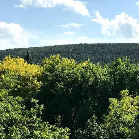 Apartament 'new' Sunkissed On The Old Hill