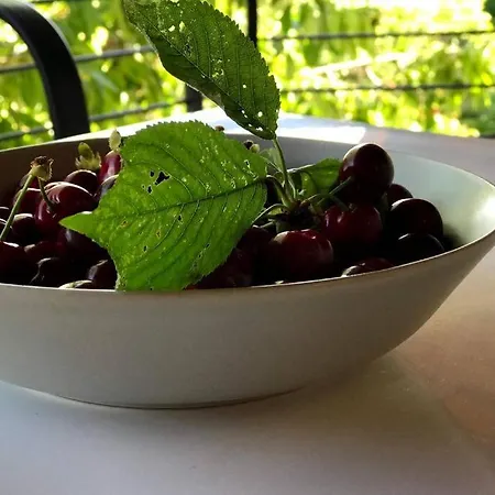 'new' Sunkissed On The Old Hill *