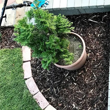 Appartement 'new' Sunkissed On The Old Hill