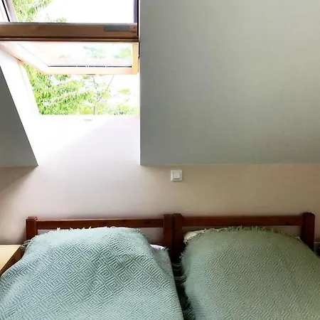 'new' Sunkissed On The Old Hill