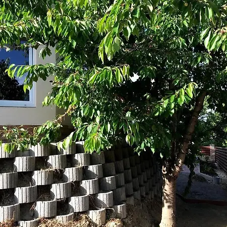 'new' Sunkissed On The Old Hill *