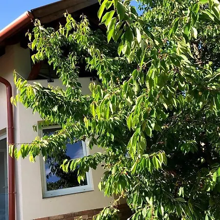 Appartement 'new' Sunkissed On The Old Hill *