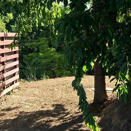 'new' Sunkissed On The Old Hill Balatonalmadi