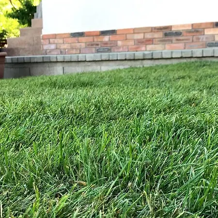 Appartement 'new' Sunkissed On The Old Hill