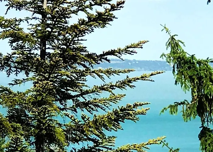 'new' Sunkissed On The Old Hill *