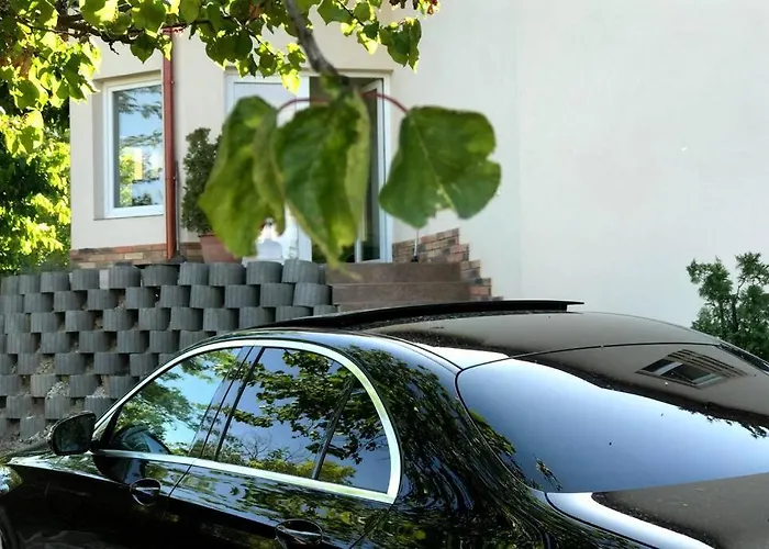 'new' Sunkissed On The Old Hill *