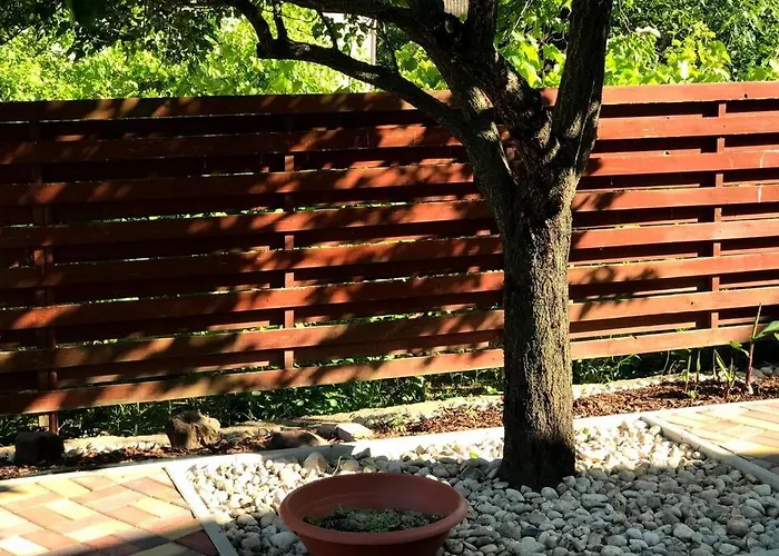 'new' Sunkissed On The Old Hill Appartement *