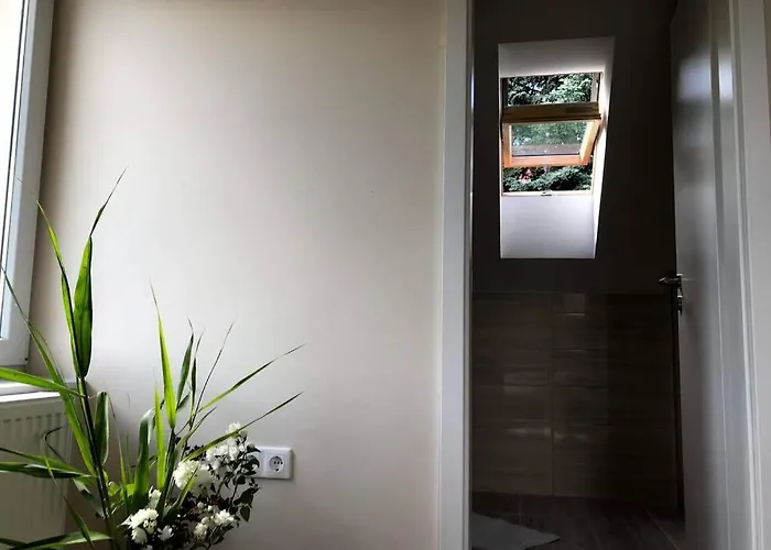 'new' Sunkissed On The Old Hill Balatonalmádi