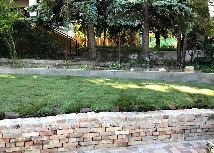 'new' Sunkissed On The Old Hill *