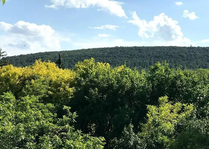 דירה 'new' Sunkissed On The Old Hill