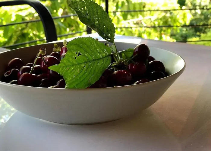 'new' Sunkissed On The Old Hill *