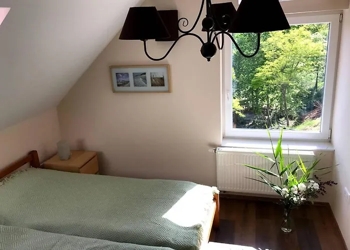 'new' Sunkissed On The Old Hill