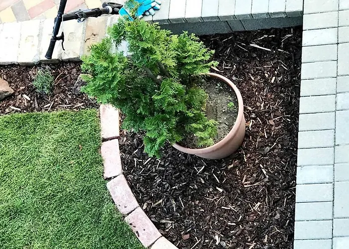 דירה 'new' Sunkissed On The Old Hill