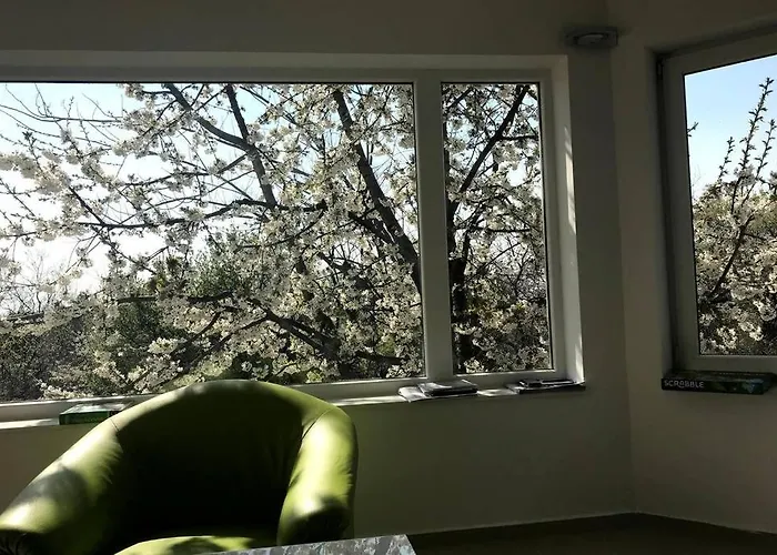 'new' Sunkissed On The Old Hill 발라톤알마디