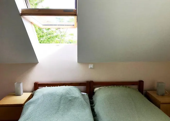 'new' Sunkissed On The Old Hill