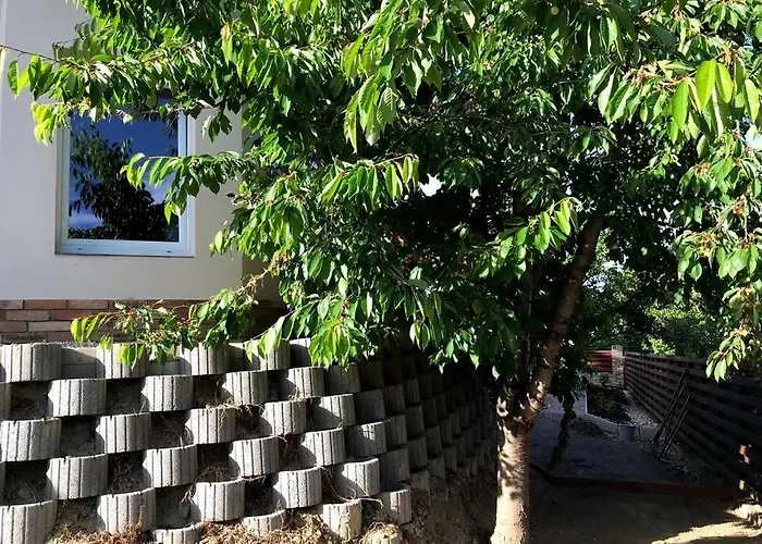 'new' Sunkissed On The Old Hill *