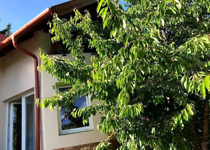 Appartement 'new' Sunkissed On The Old Hill *