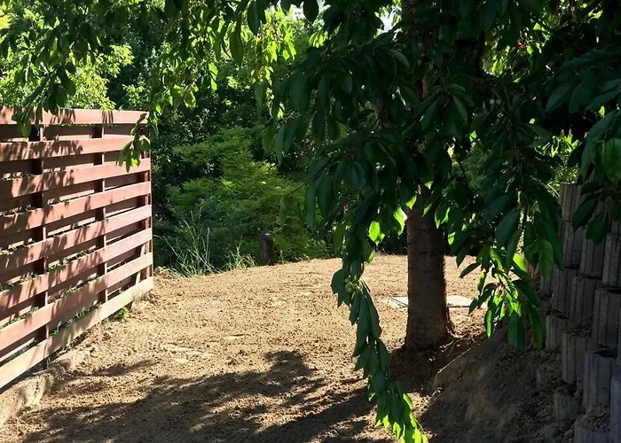 'new' Sunkissed On The Old Hill 발라톤알마디