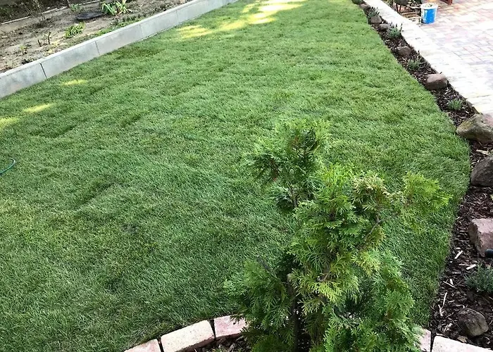 아파트 'new' Sunkissed On The Old Hill