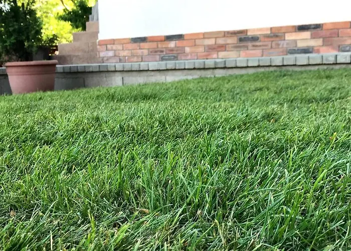 아파트 'new' Sunkissed On The Old Hill