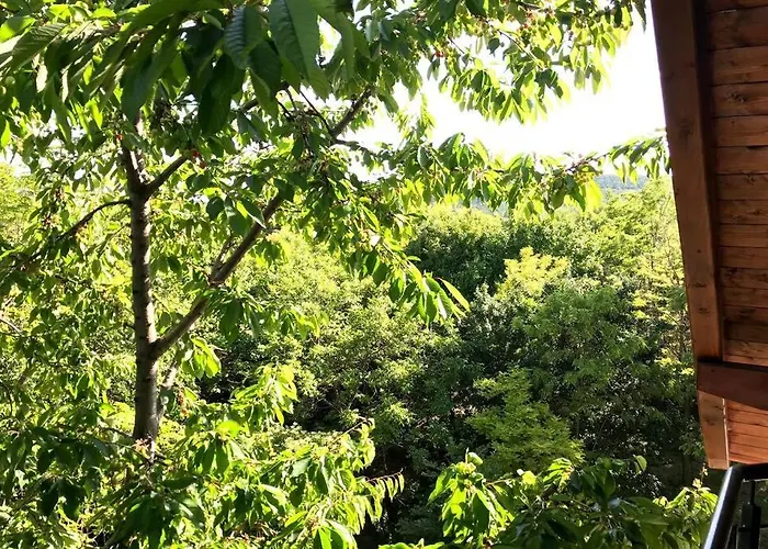 'new' Sunkissed On The Old Hill